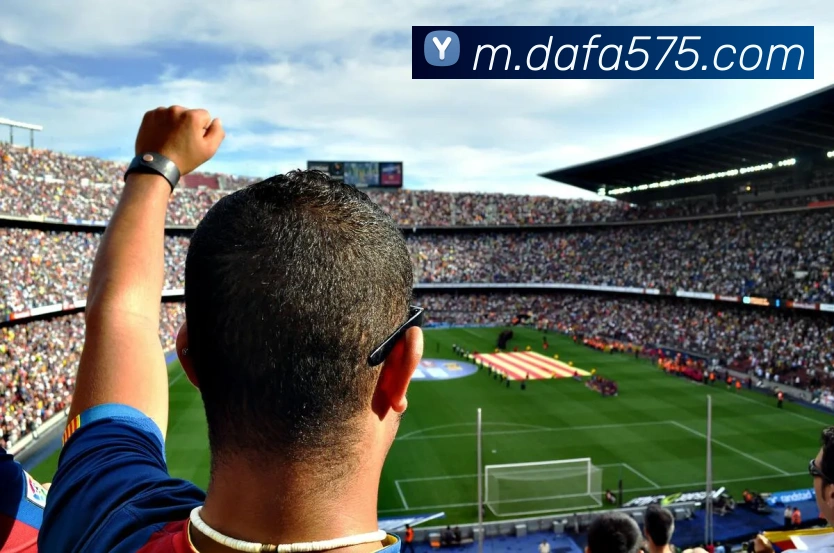 大发彩票品牌故事