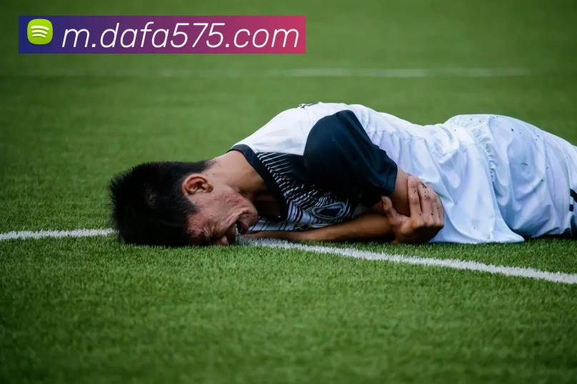 大发彩票服务体系